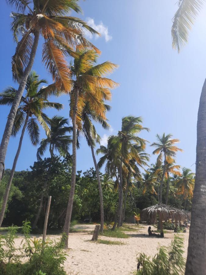 Virgin Islands Campground Water Island Ngoại thất bức ảnh